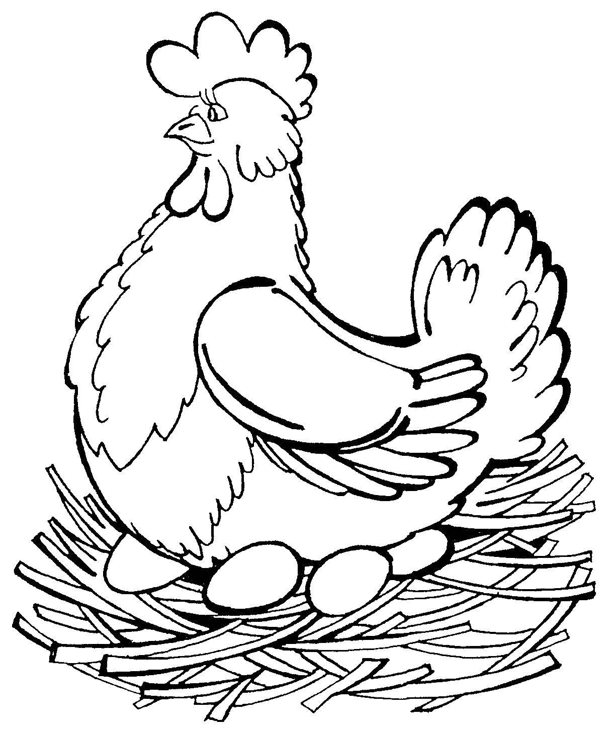 Название: Раскраска Курица снесла яйца в гнезде. Категория: курочка ряба. Теги: Курица, птица.