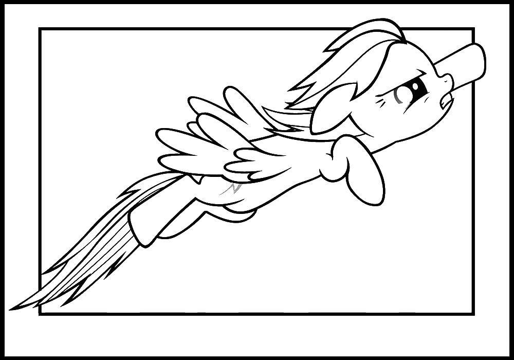 Coloring Flying pony. Category Ponies. Tags:  Pony, My little pony .
