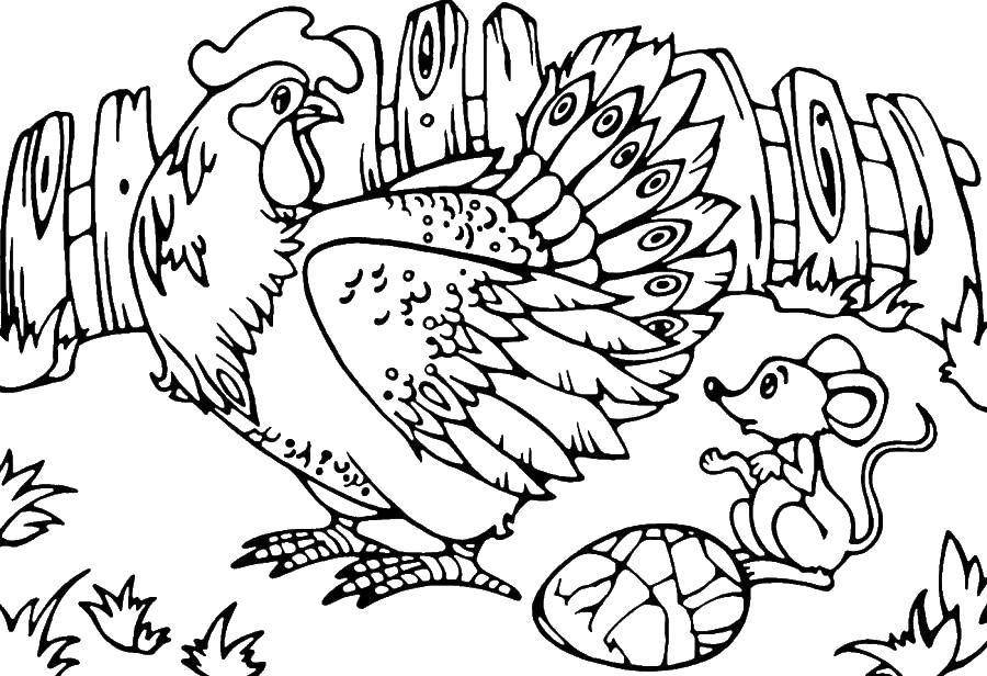 Coloring The mouse broke egg. Category the hen. Tags:  hen, mouse, egg.