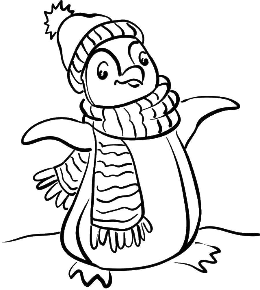 Coloring Penguin in hat and scarf. Category coloring winter. Tags:  The penguin.