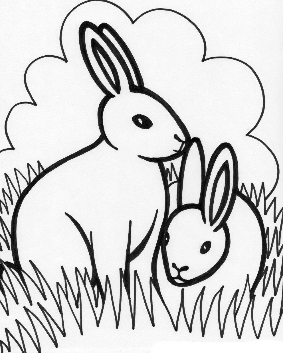 Название: Раскраска Рисунок зайчики на лугу. Категория: домашние животные. Теги: заяц, кролик.