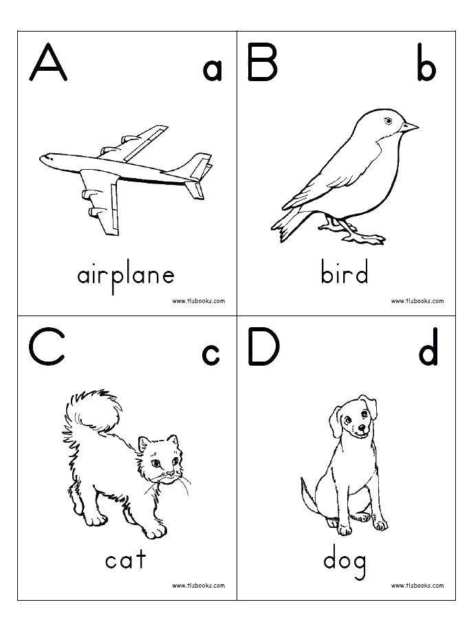Название: Раскраска Самолётик, птица, кот, собака. Категория: Английский. Теги: Алфавит, буквы, слова.