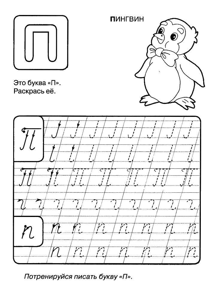 Розмальовки  Пропис букви п. Завантажити розмальовку пропис, алфавіт, літера П, пінгвін.  Роздрукувати ,пропис,