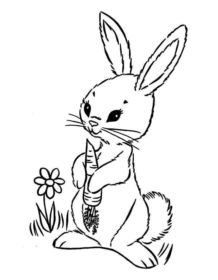 Розмальовки  Малюнок зайчика з морквою. Завантажити розмальовку заєць, кролик.  Роздрукувати ,домашні тварини,
