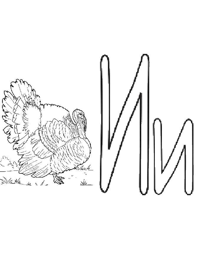 Coloring Letter and. Category the alphabet. Tags:  alphabet, letter, AI, Turkey.