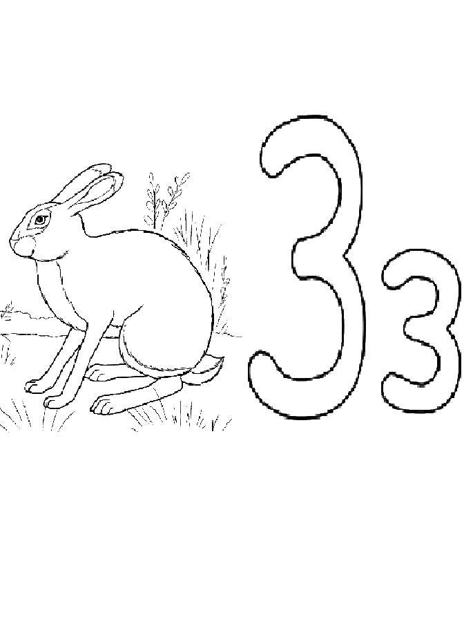 Coloring The letter z. Category the alphabet. Tags:  the alphabet, letter ZZ, rabbit.