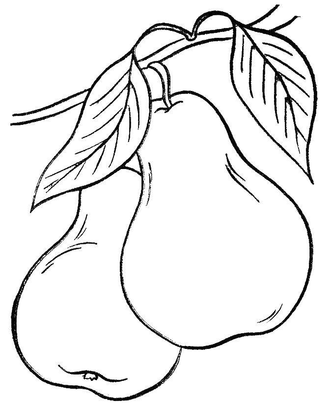 Coloring Two ripe pears. Category fruits. Tags:  fruit, pear.