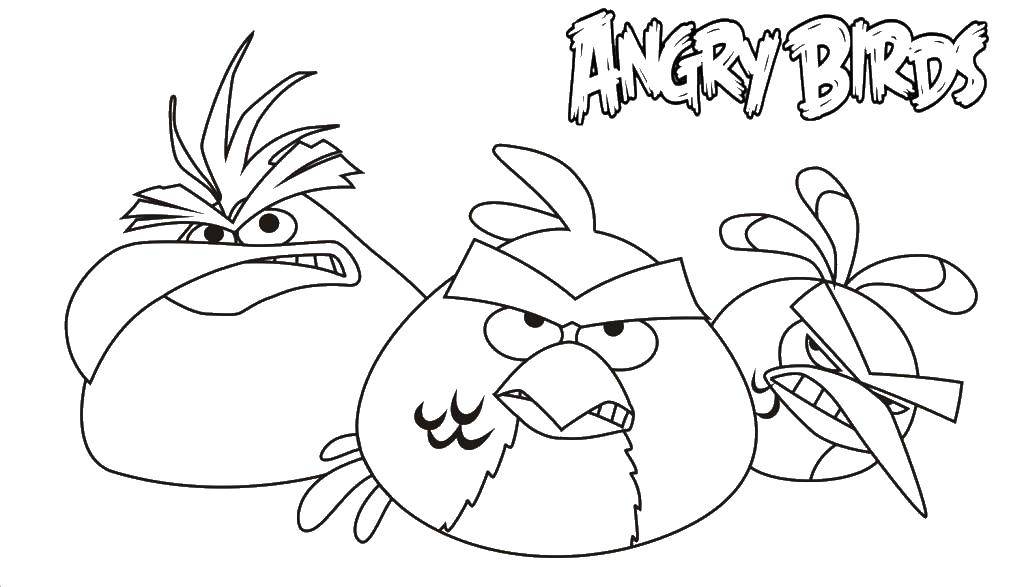 Название: Раскраска Грозные птички. Категория: angry birds. Теги: Игры, Angry Birds .