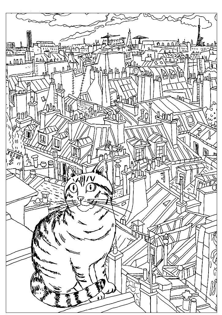 Название: Раскраска Кот на крыше. Категория: Животные. Теги: Животные, кот.