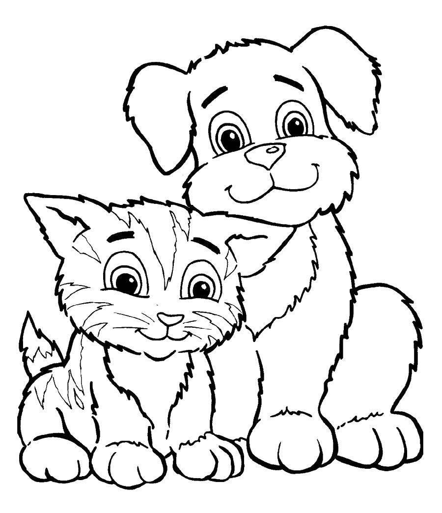 Название: Раскраска Котёнок дружит с щенком. Категория: домашние животные. Теги: Животные, собака, кот.