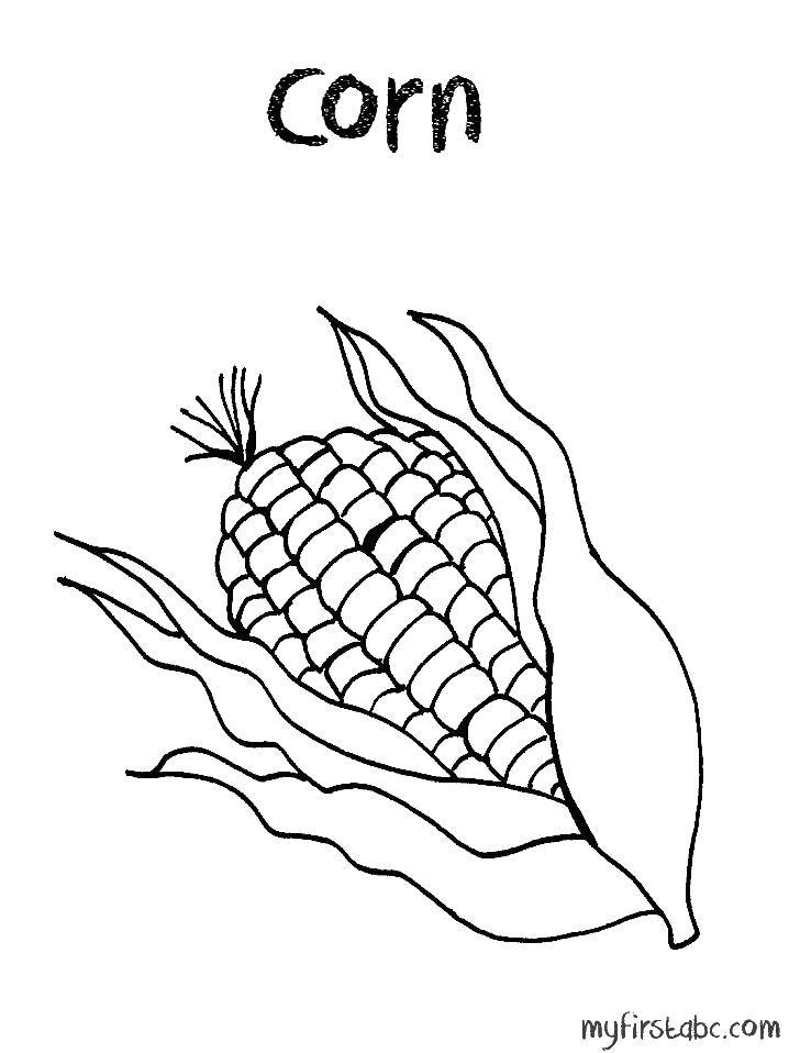 Название: Раскраска Кукуруза. Категория: Кукуруза. Теги: Овощи, кукурузка.