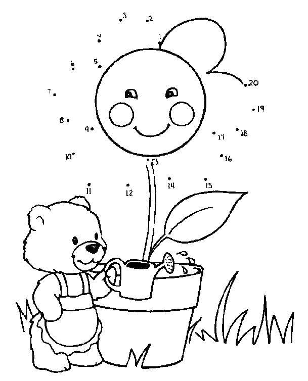 Coloring Bear watering flower. Category Draw points. Tags:  The sample numbers.
