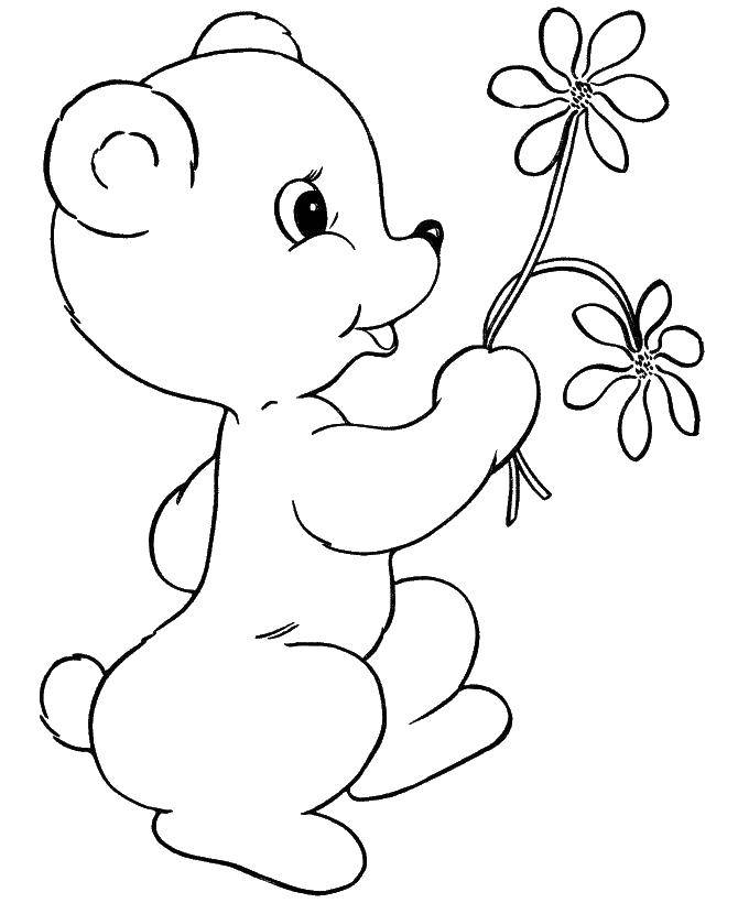 Название: Раскраска Медвежонок с двумя цветками. Категория: Животные. Теги: Животные, медведь.