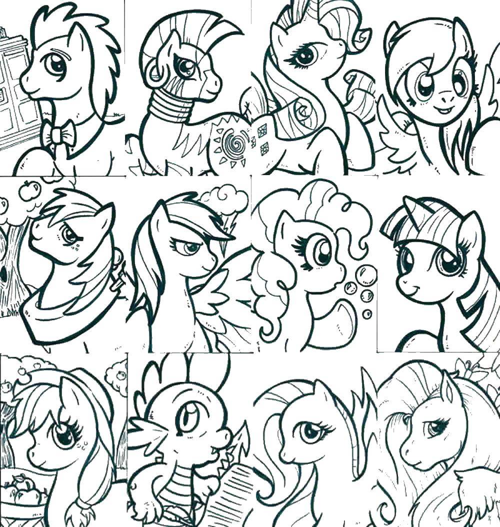 Coloring Portraits of the ponies. Category my little pony. Tags:  Pony, My little pony .