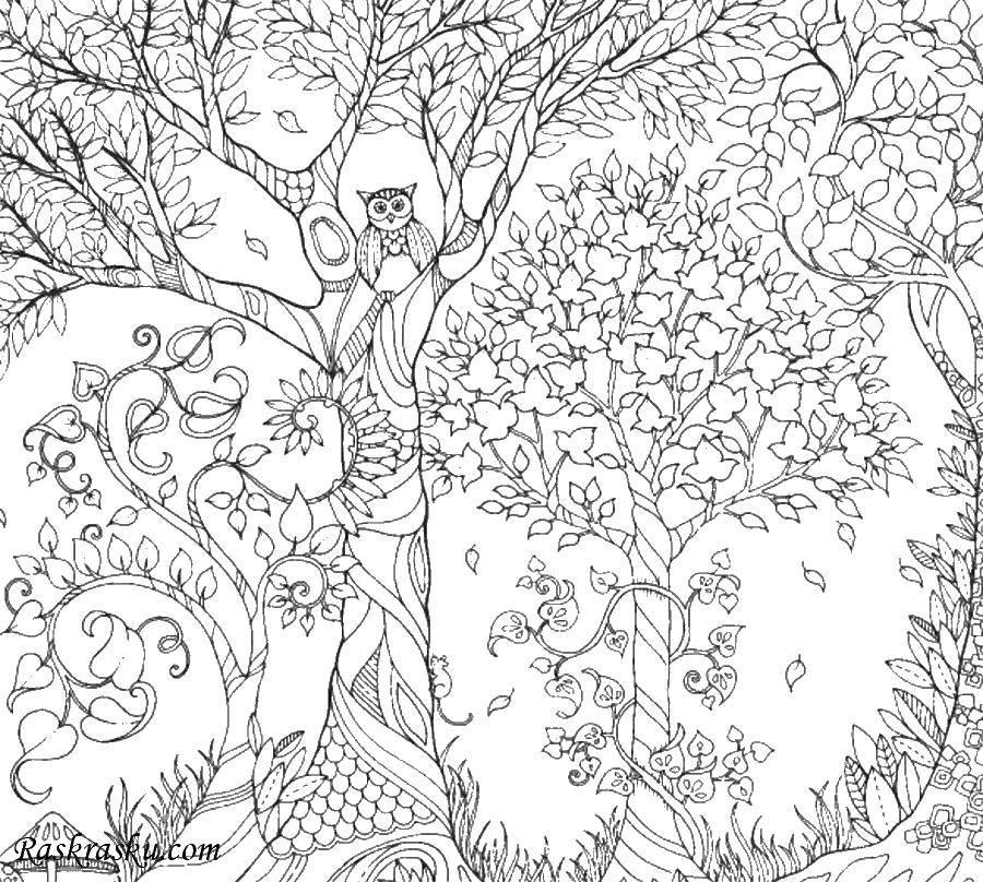 Coloring Coloring antistress. Category patterns. Tags:  patterns, shapes, antistress, owl, nature.