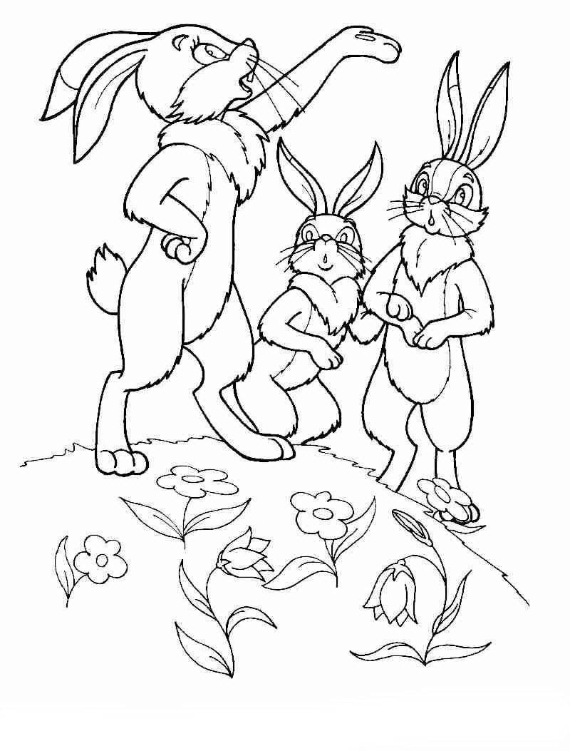 Название: Раскраска Рисунок зайцев. Категория: домашние животные. Теги: заяц, кролик.