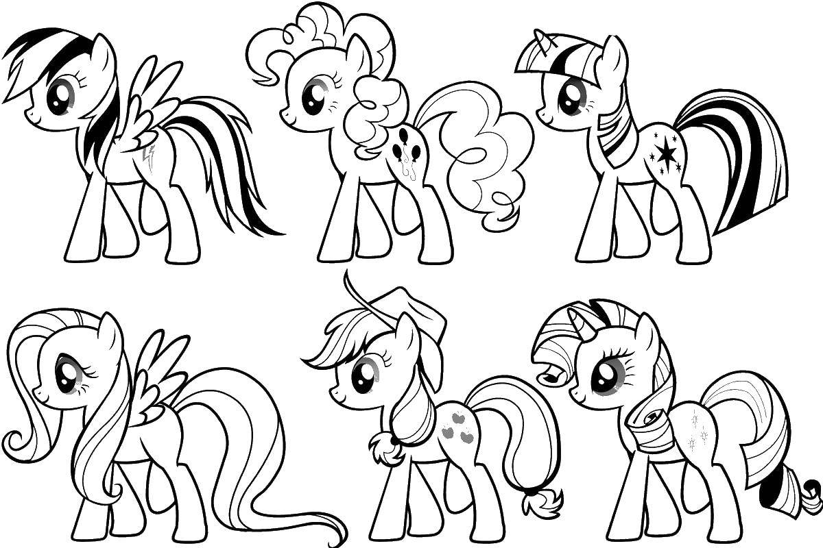 Coloring A variety of ponies. Category my little pony. Tags:  Pony, My little pony .
