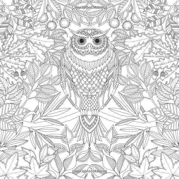 Coloring Owl in the leaves. Category Bathroom with shower. Tags:  Bathroom with shower.