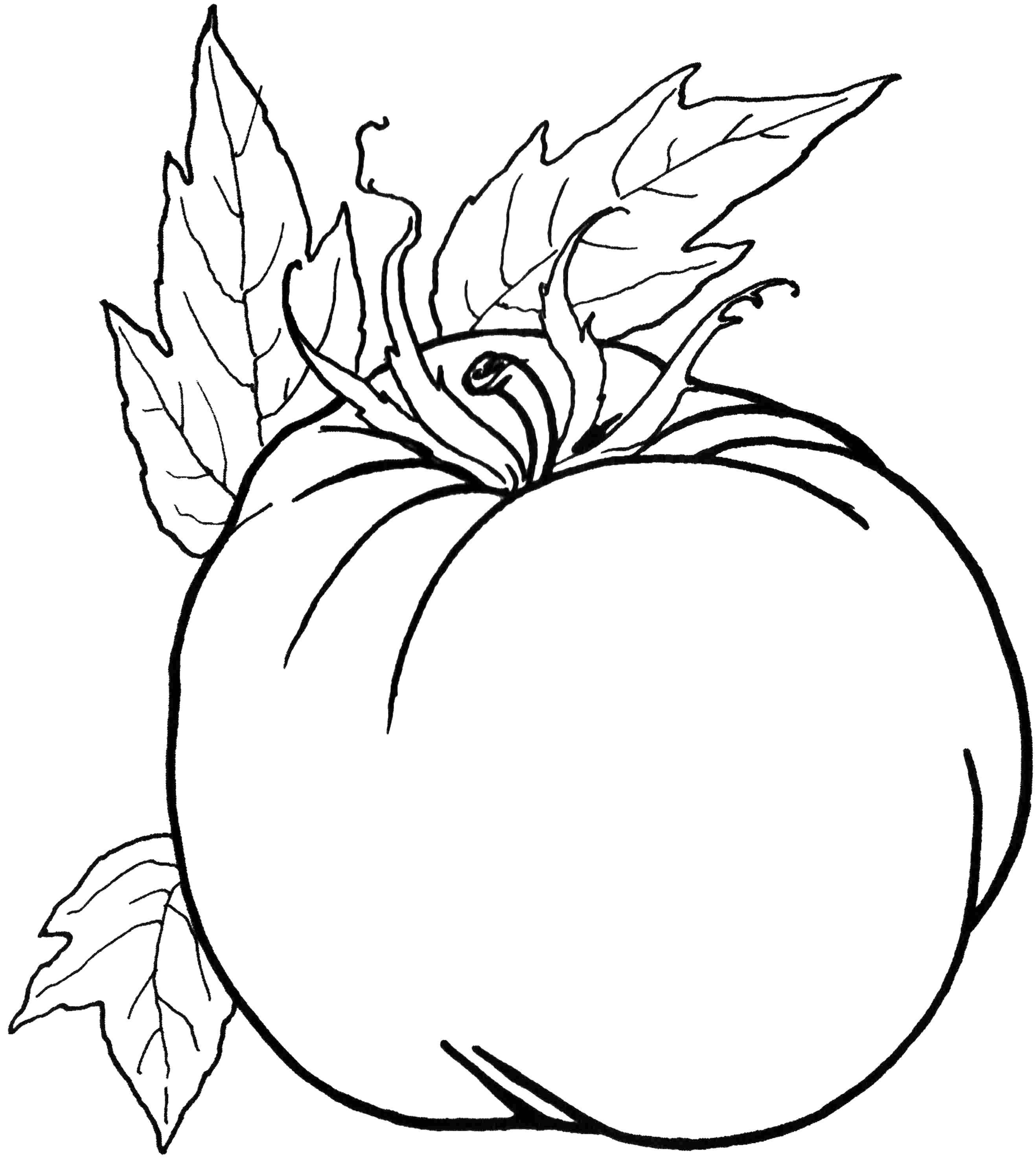 Название: Раскраска Спелый помидор. Категория: Овощи. Теги: Овощи.
