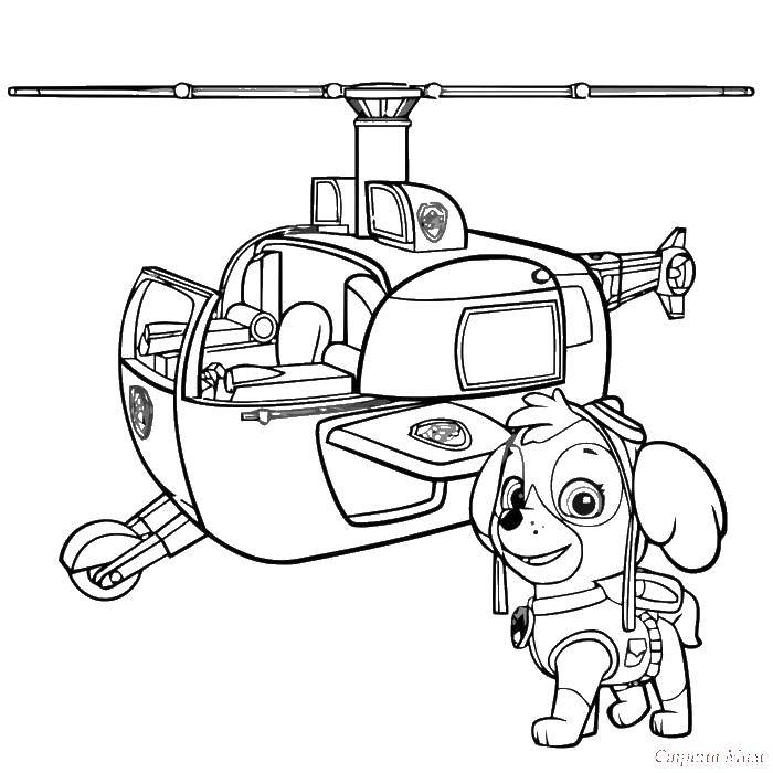 Название: Раскраска Вертолётик скай. Категория: щенячий патруль. Теги: Щенячий патруль.