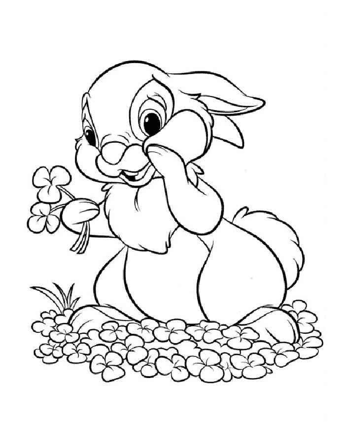 Розмальовки  Малюнок зайчика з квіточками. Завантажити розмальовку заєць, кролик.  Роздрукувати ,домашні тварини,