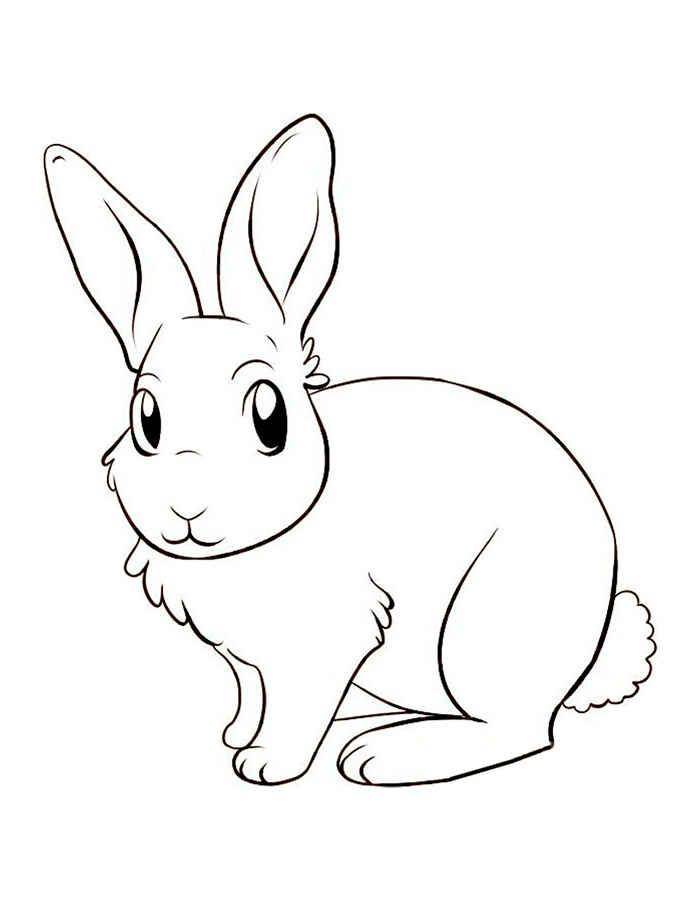 Розмальовки  Малюнок зайчика. Завантажити розмальовку заєць, кролик.  Роздрукувати ,домашні тварини,