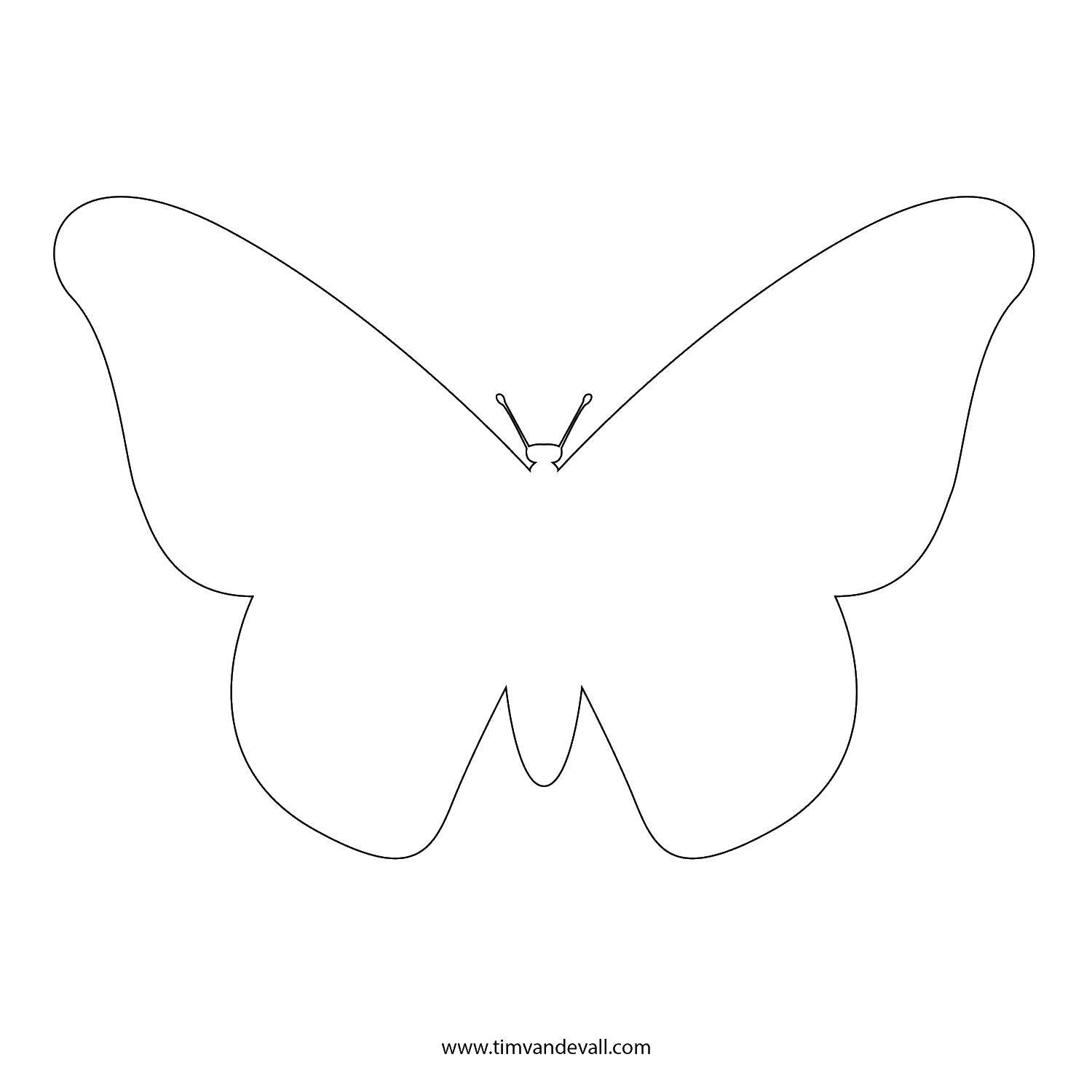 Название: Раскраска Бабочка контур. Категория: контуры бабочек для вырезания. Теги: контуры, бабочки.