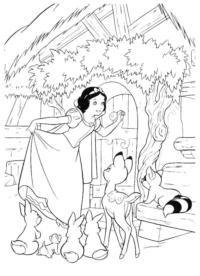 Coloring Snow white in the house. Category Princess. Tags:  Snow white, princesses, animals.