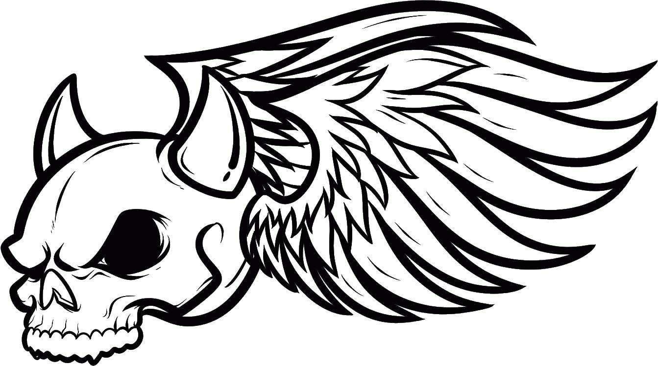 Название: Раскраска Череп с крыльями. Категория: Череп. Теги: крылья, череп, кости.