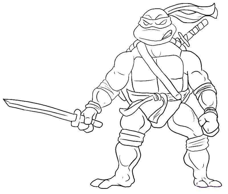 Название: Раскраска Черепашка с мечем. Категория: черепашки ниндзя. Теги: меч, черепашка ниндзя.