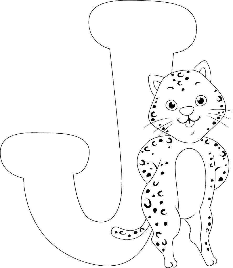 Coloring Hepatic. Category Animals. Tags:  animals, Cheetah, cat.