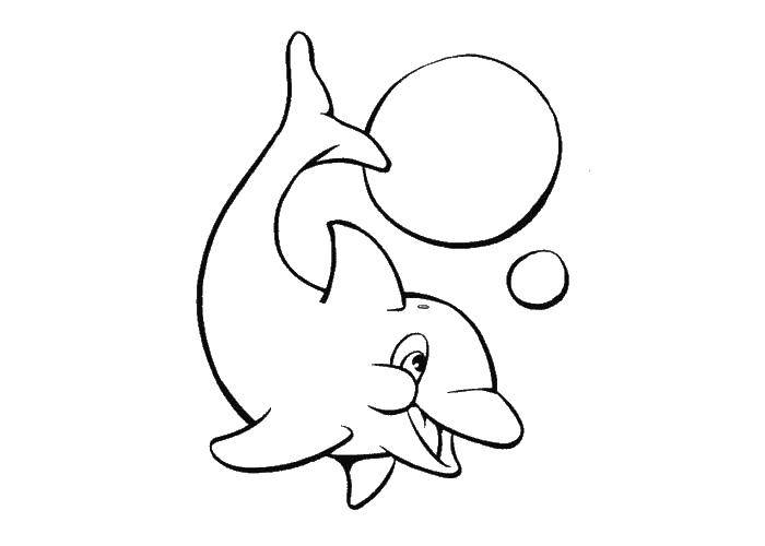 Название: Раскраска Игривый дельфинчик. Категория: Животные. Теги: животные, дельфины, морские обитатели.