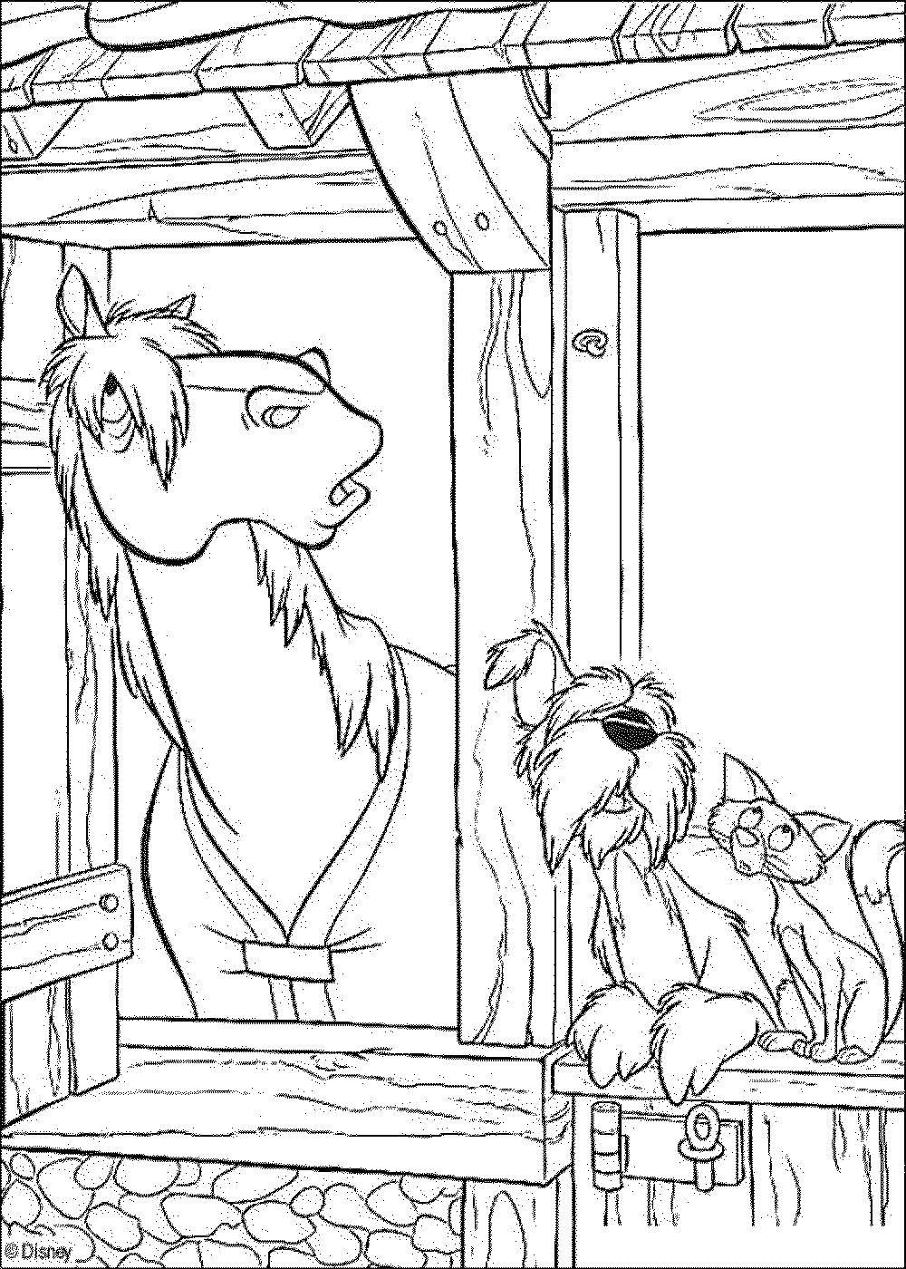 Coloring Horse, dog and cat. Category Pets allowed. Tags:  livestock, animals, horse, dog, cat.