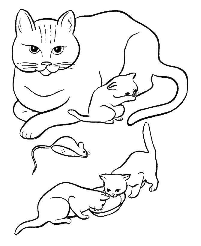 Название: Раскраска Кошечка с маленькими котятами. Категория: Коты и котята. Теги: маленькие котята, мышка, кошка.