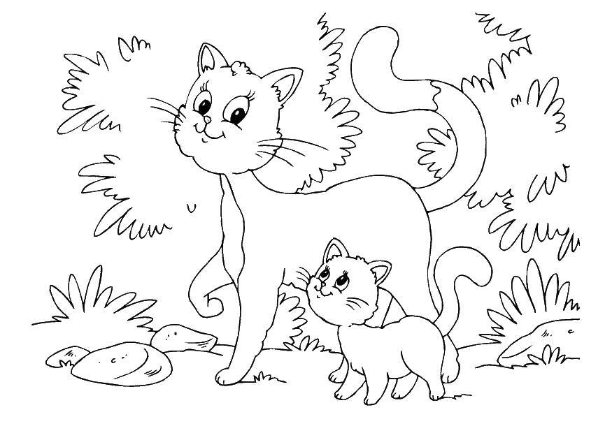 Название: Раскраска Котята гуляют. Категория: Коты и котята. Теги: гулять, кошка, котенок, .