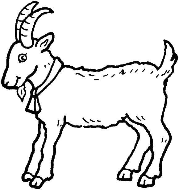 Coloring Goat. Category animals. Tags:  goat, animals, cattle.
