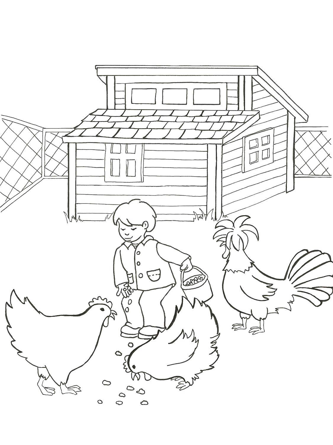 Coloring Boy feeding chickens. Category farm. Tags:  farm.