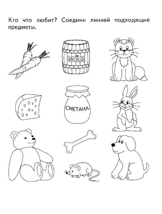 Coloring Find food each animal. Category coloring on logic. Tags:  Logic.