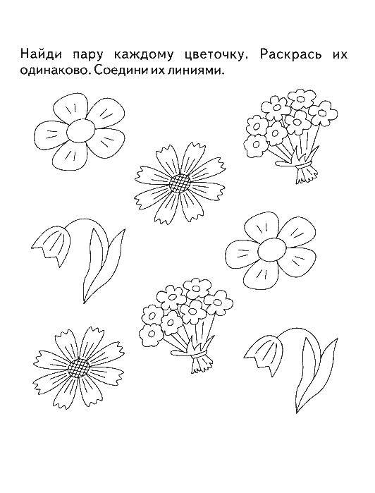 Coloring Find a couple of flowers. Category coloring on logic. Tags:  Logic.