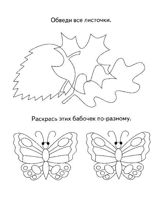 Название: Раскраска Обведи листочки и раскрась бабочек. Категория: раскраски на логику. Теги: Логика.