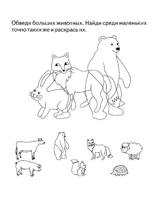 Coloring Circle of animals and colour them in. Category coloring on logic. Tags:  Logic.
