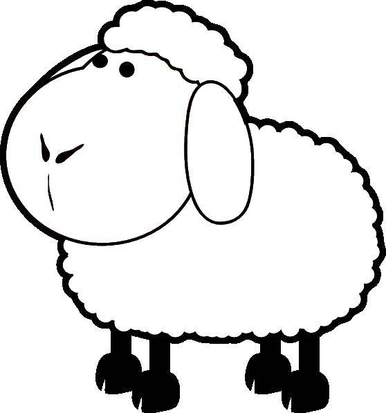 Раскраски овечка скачать и распечатать бесплатно