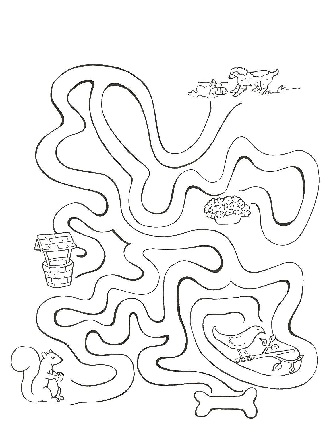 Coloring Help all to reach the food. Category Mazes. Tags:  Maze, logic.