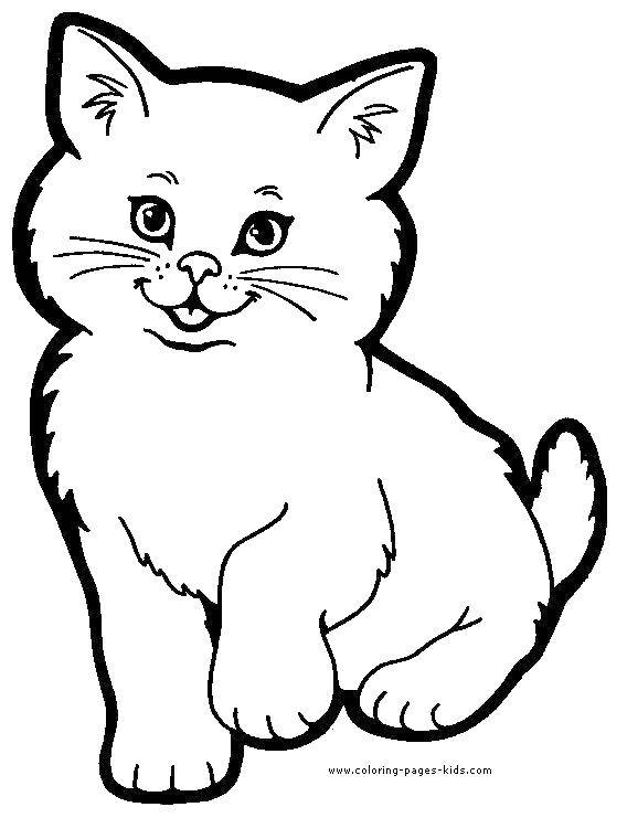 Coloring Fluffy cat. Category animals. Tags:  animals, cats, cat, pussy.