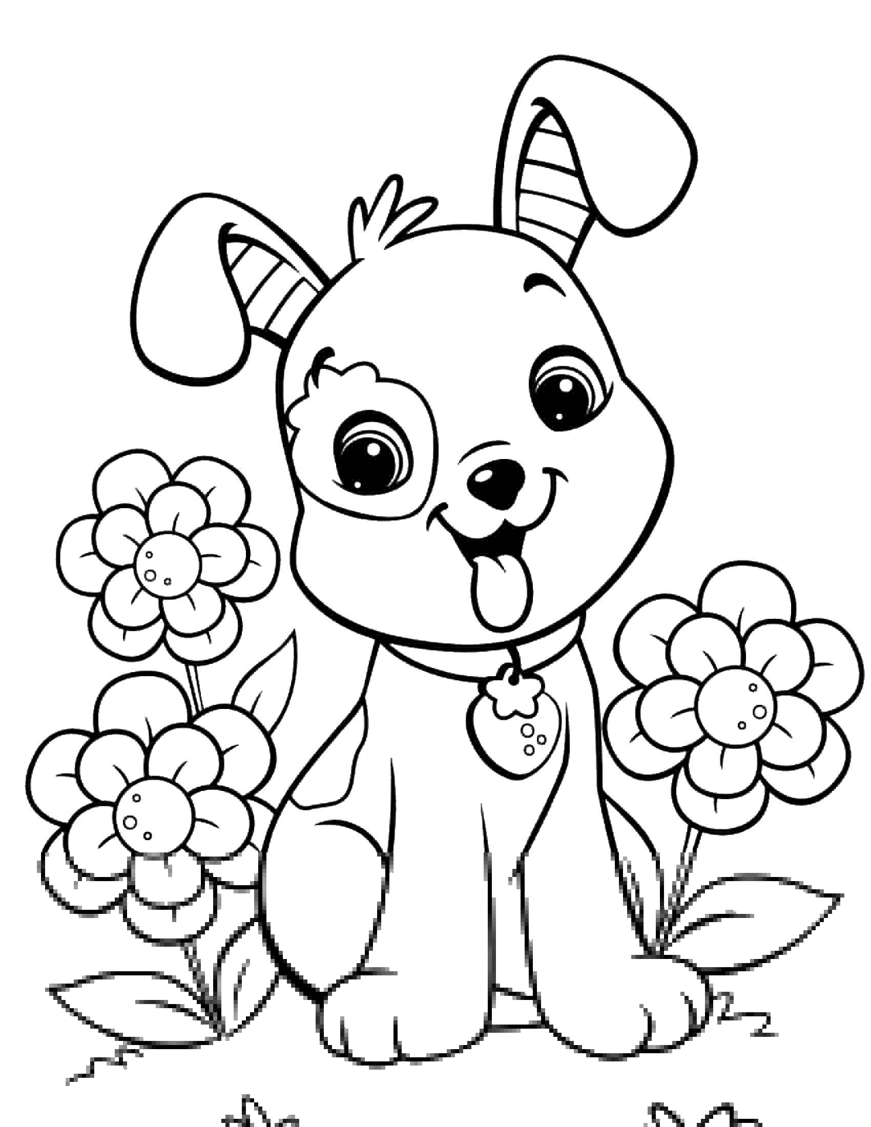 Название: Раскраска Собачка с цветочками. Категория: домашние животные. Теги: животные, собаки, цветы.