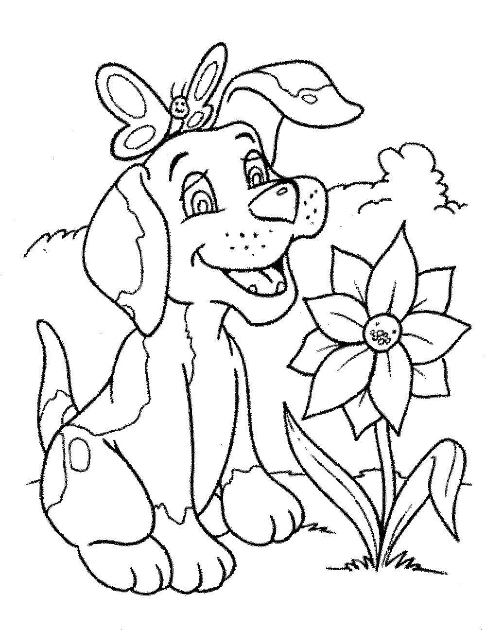 Название: Раскраска Собака с бабочкой. Категория: домашние животные. Теги: собака, бабочка, цветок.
