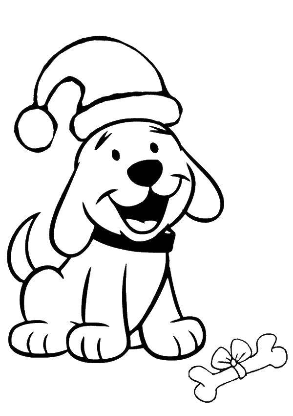Название: Раскраска Собака с косточкой. Категория: домашние животные. Теги: собака, кость, косточка с батиком, собака в шляпе.