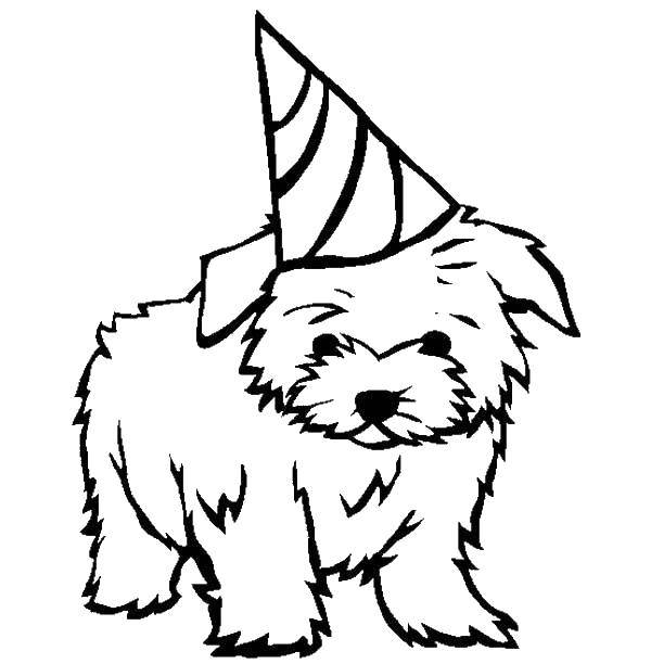 Coloring A dog with a hat. Category Pets allowed. Tags:  the dog with the hat, the hat of the clown.
