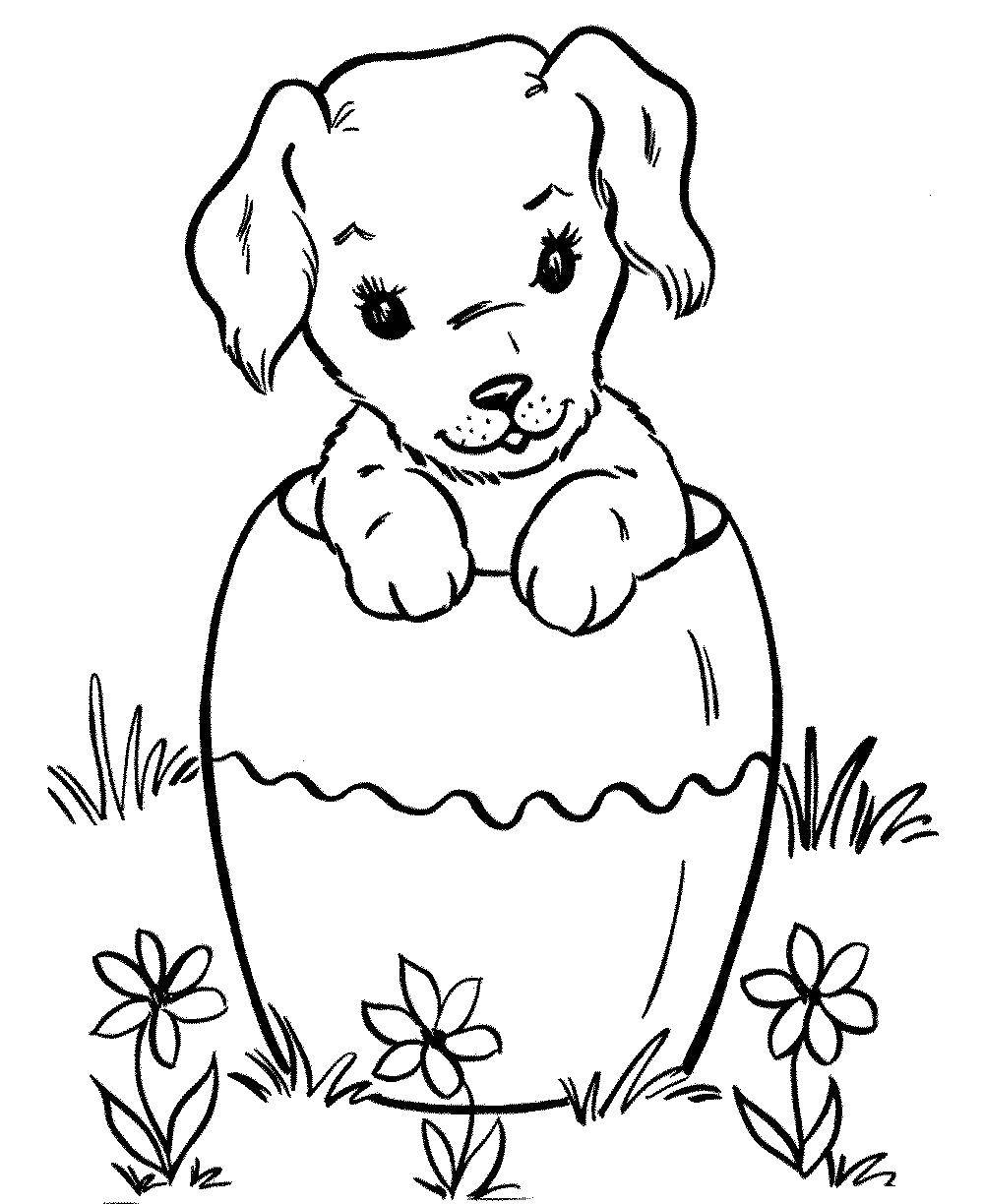 Coloring Dog in a barrel. Category Pets allowed. Tags:  the dog is played with a barrel, a dog and a barrel.