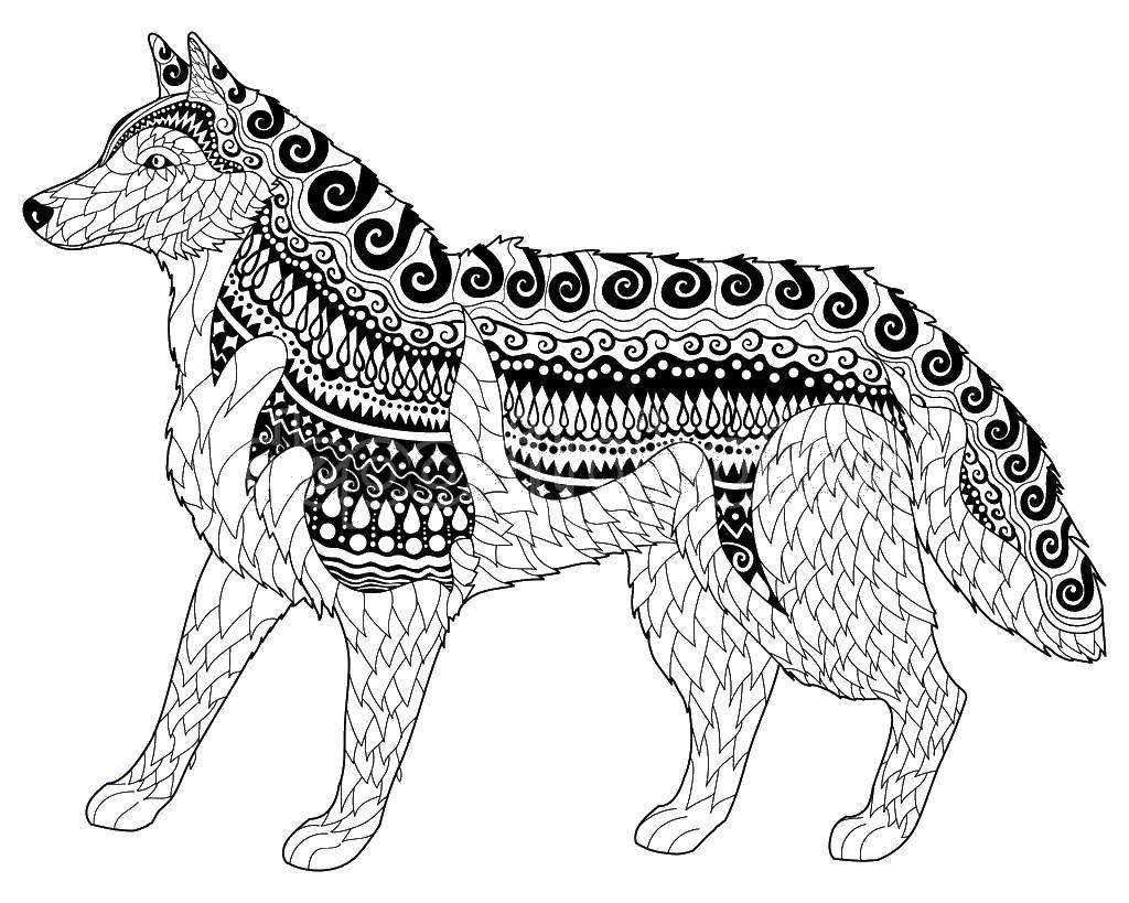 Coloring Dog patterns. Category dogs husky. Tags:  dog patterns, dog husky.
